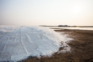 heap of salt harvest in salt farm industry