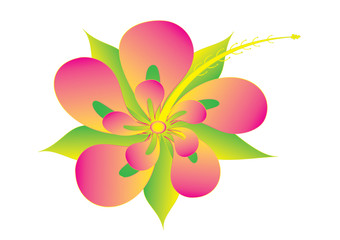 Hibiscus flower, vector