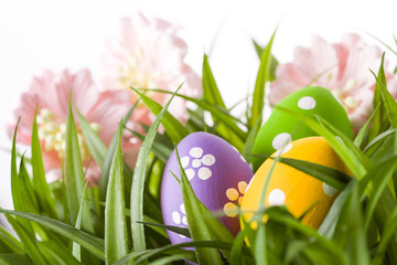 Easter Eggs with flower on Fresh Green Grass