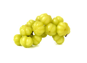 star gooseberry isolated on white background