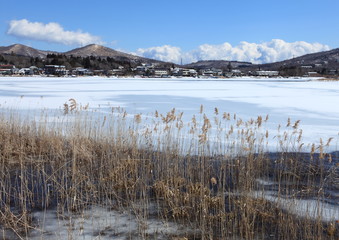 山中湖北岸の冬景色