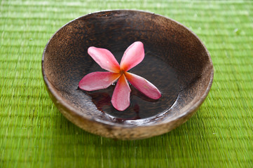 frangipani flower in water wooden bowl on mat