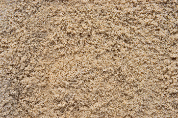 Wet beach sand