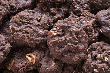 Dark Chocolate Chip Cookies as Background Uses.