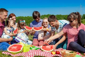 Fototapeta na wymiar outdoor group portrait of happy company having picnic on green g