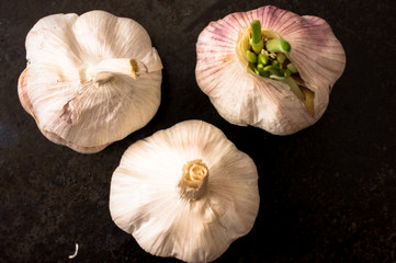 Garlic bulbs on a black table