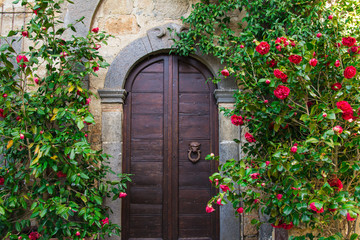 Portone di una casa con fiori