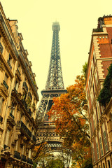 Fototapeta na wymiar Autumn in Paris