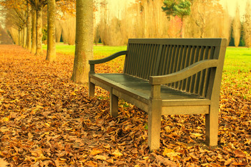 Bench