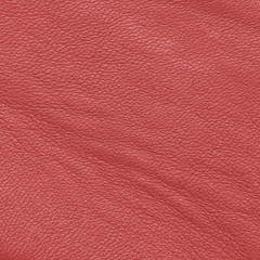 Fototapeta premium red leather texture. Useful for background