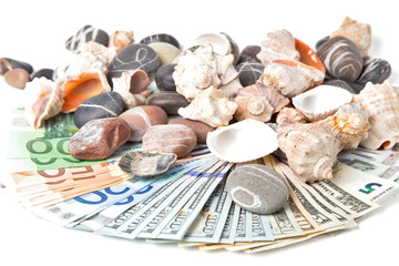 валюта разложена под морскими ракушками и камушками