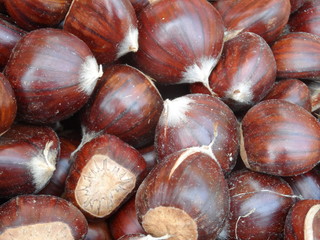 Background og brown chestnuts