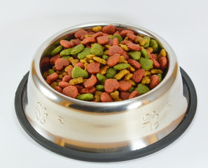 pet food in stainless bowl