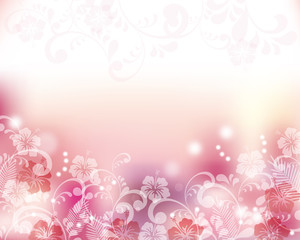 hibiscuses background