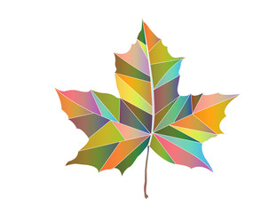 Maple-leaf colored triangles
