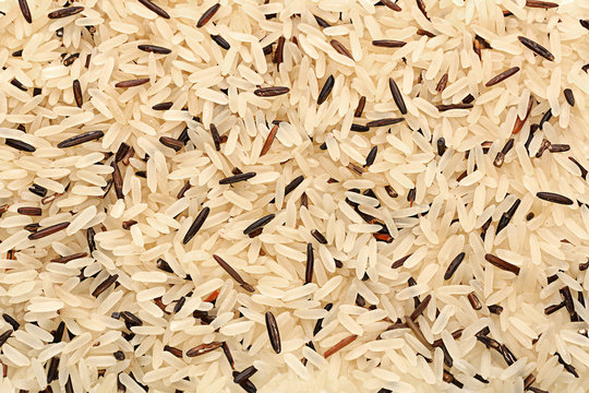 Wild and long polished rice