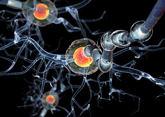  nerve cells,isolated on black background