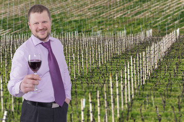 Businessman holding glass of wine with vineyard in background