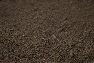 vegetable mould, humus soil
