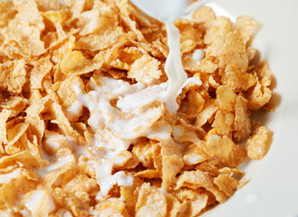 corn flakes with milk.