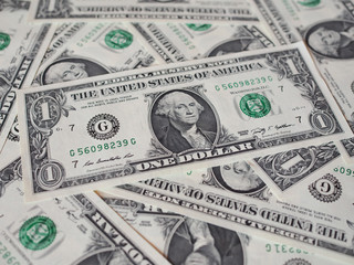 Dollar notes 1 Dollar