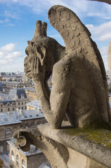 Fototapeta na wymiar Chimera (gargoyle) of the Cathedral of Notre Dame de Paris