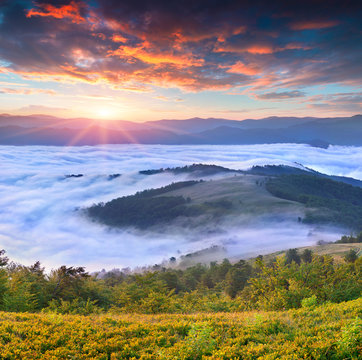 Colorful summer sunrise in the foggy mountains