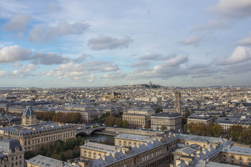 Fototapeta premium Paris from height of bird's flight