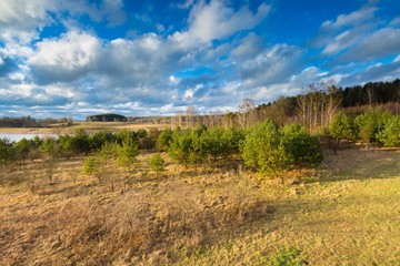 Rural early spring landscape photogrtaphed from above 