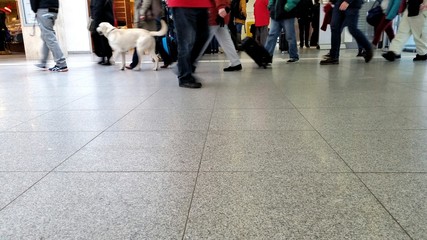 Menschen am Bahnhof
