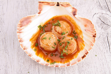 scallop