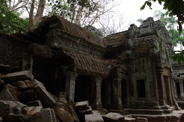 Naklejka premium Ta Prohm Temple in Angkor, Siem Reap, Cambodia