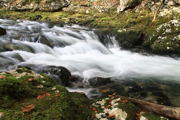 Fototapeta na wymiar Mountain stream in autumn