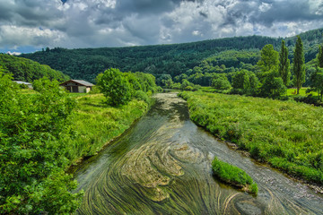 Fototapete bei efototapeten.de bestellen   
