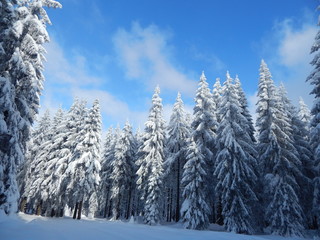 zauberhafte Winterlandschaft