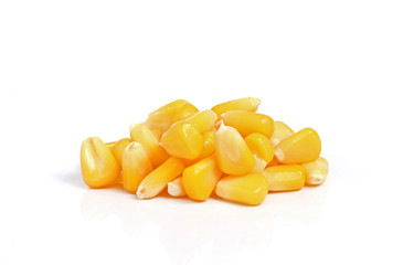 corn on white background