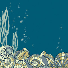 Fototapeta na wymiar Hand drawn seashells, seaweed and bubbles card