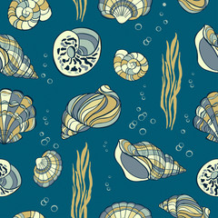 Hand drawn seashells, seaweed and bubbles on blue background, s