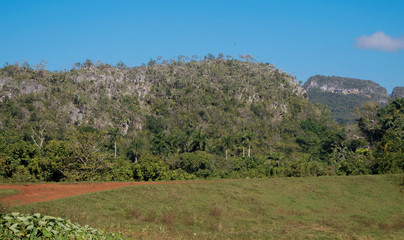 Vinales