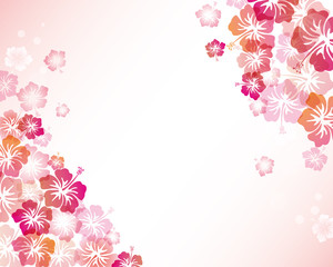 hibiscuses background