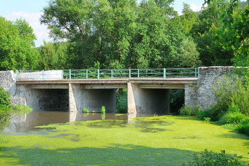Fototapeta na wymiar bridge over the river and aquatic plants