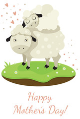 Sheep with the littlelamb sleeping on it's back.