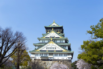 Fototapeta premium 大阪城