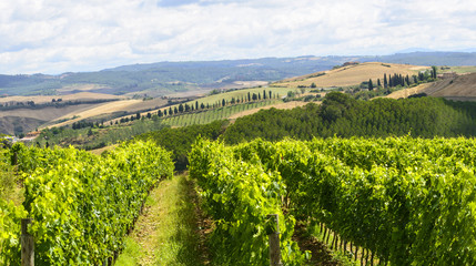 Crete Senesi (Tuscany, Italy)