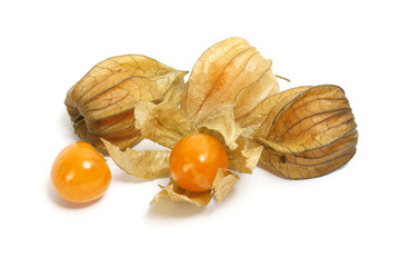 Physalis