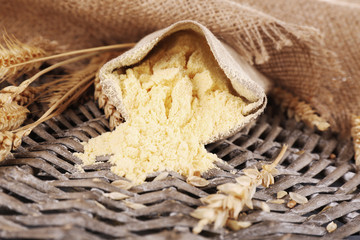 Whole flour in bag with wheat ears on wicker mat, closeup