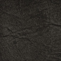 Leather background