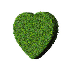 Heart made from green leaves.
