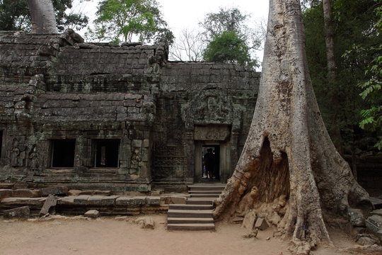 Ta Prohm Temple in Angkor, Siem Reap, Cambodia
