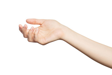 Beautiful woman's hand on the white background